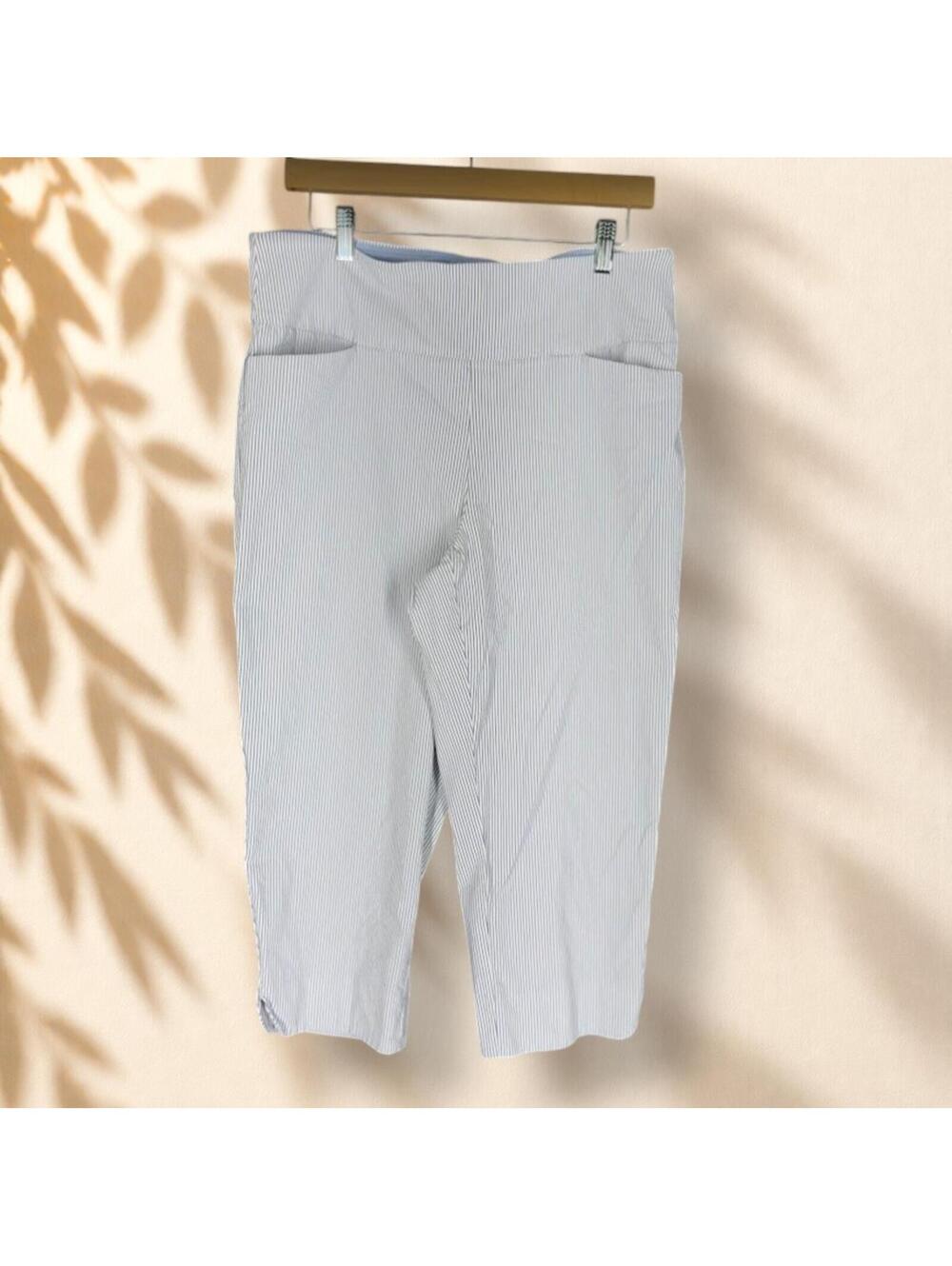 S.C. & Co. Cropped Pants Women 16 Blue Striped High Rise Flat Front Stretch